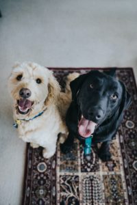 jay wennington CdK2eYhWfQ0 unsplash