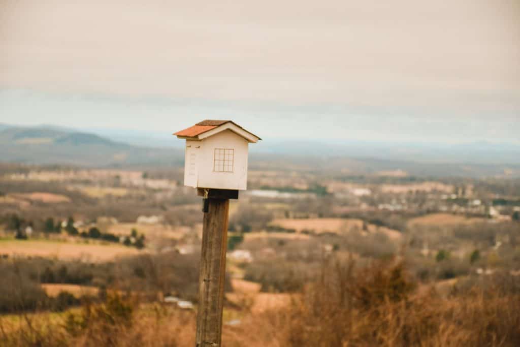 Growing Up Arkansas 5 jessica castillo xvk5CfjmgyU unsplash 1