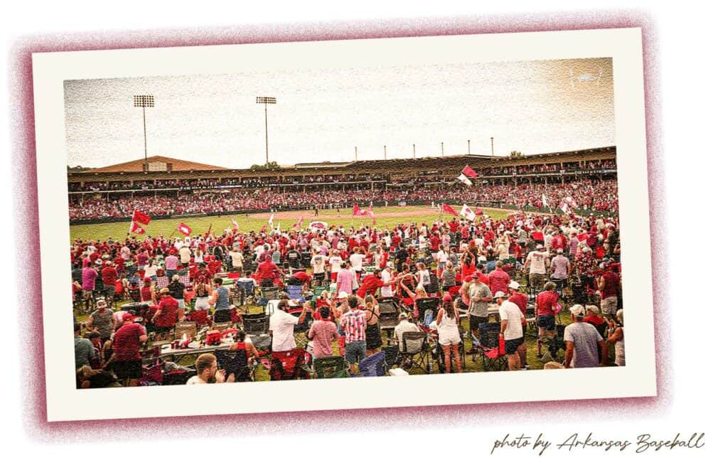 Finding home in the hog pen 2 1