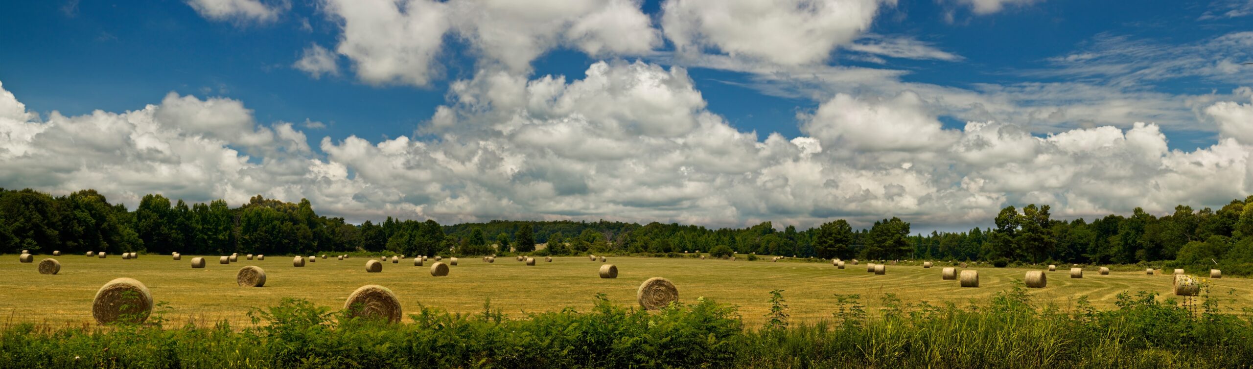 Arkansas Agriculture: More Than Meets the Eye