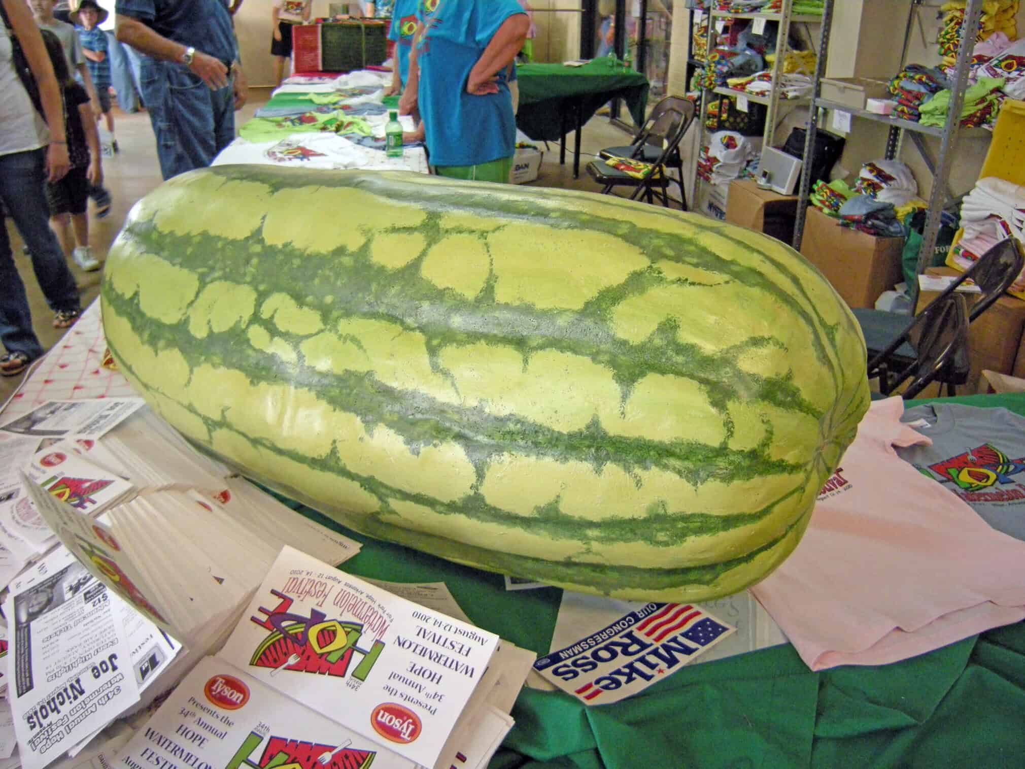 Arkansas Grows the Best: Big in Hope, Sweet in Cave City 4 2025 Watermelon Story for Arkansas Strong Hope Watermelon Festival large melon from 2010 festival by Kat Robinson scaled