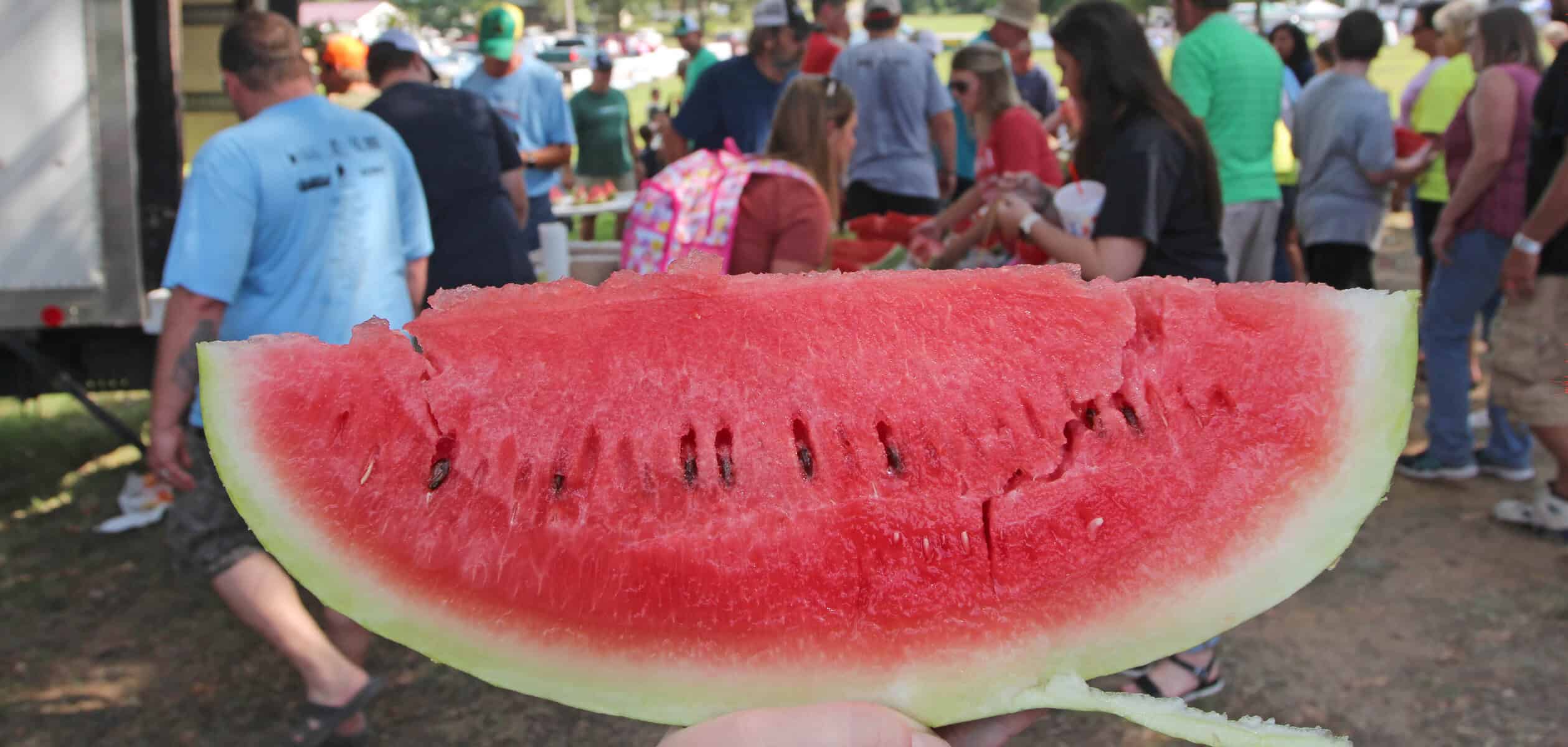 Arkansas Grows the Best: Big in Hope, Sweet in Cave City 1 Melon Story 7.25