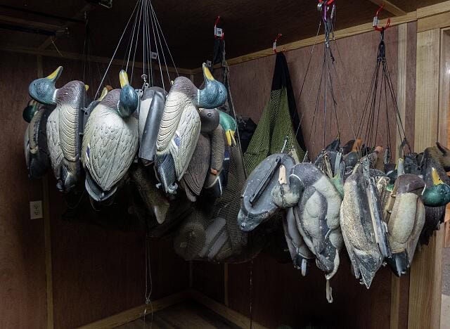 Hunting in Arkansas: Economy, Conservation, and Culture 2 Image 2