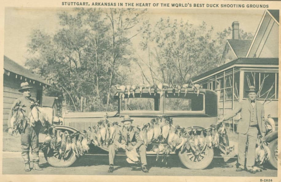 Hunting in Arkansas: Economy, Conservation, and Culture 3 p15728coll1 43166 large 2