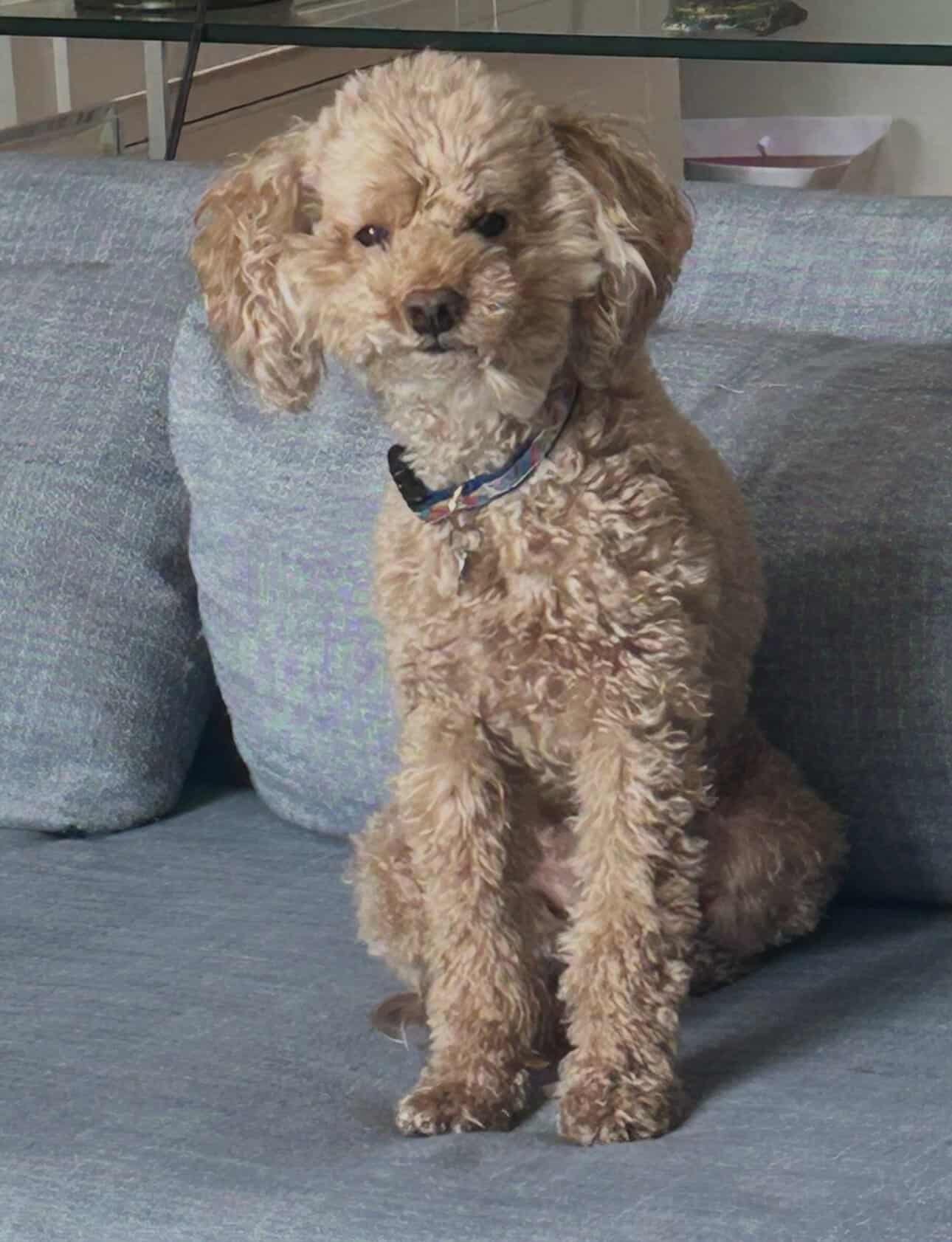 Screenshot 2025 12 05 at 9.35.59 AM