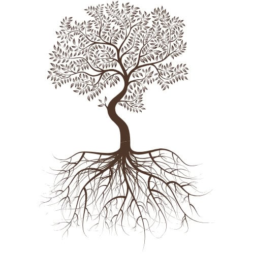 Arkansas’ Looming Rural Healthcare Crisis: Medicaid Cuts Will Cost Lives 5 AS Graphic tree tag 5