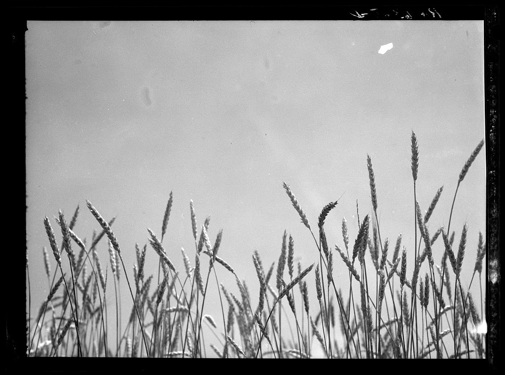 Food Insecurity in Arkansas: On the Ground Level 1 Image 10 2