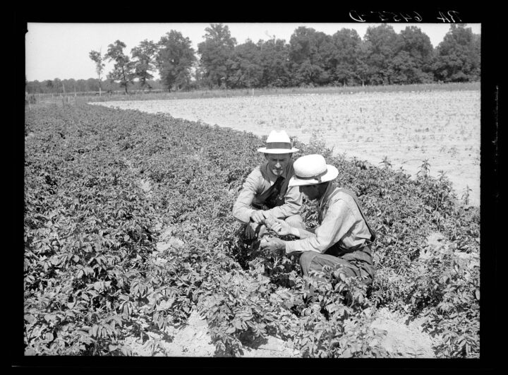 Food Insecurity In Arkansas Food Insecurity in Arkansas: On the Ground Level - Arkansas Strong